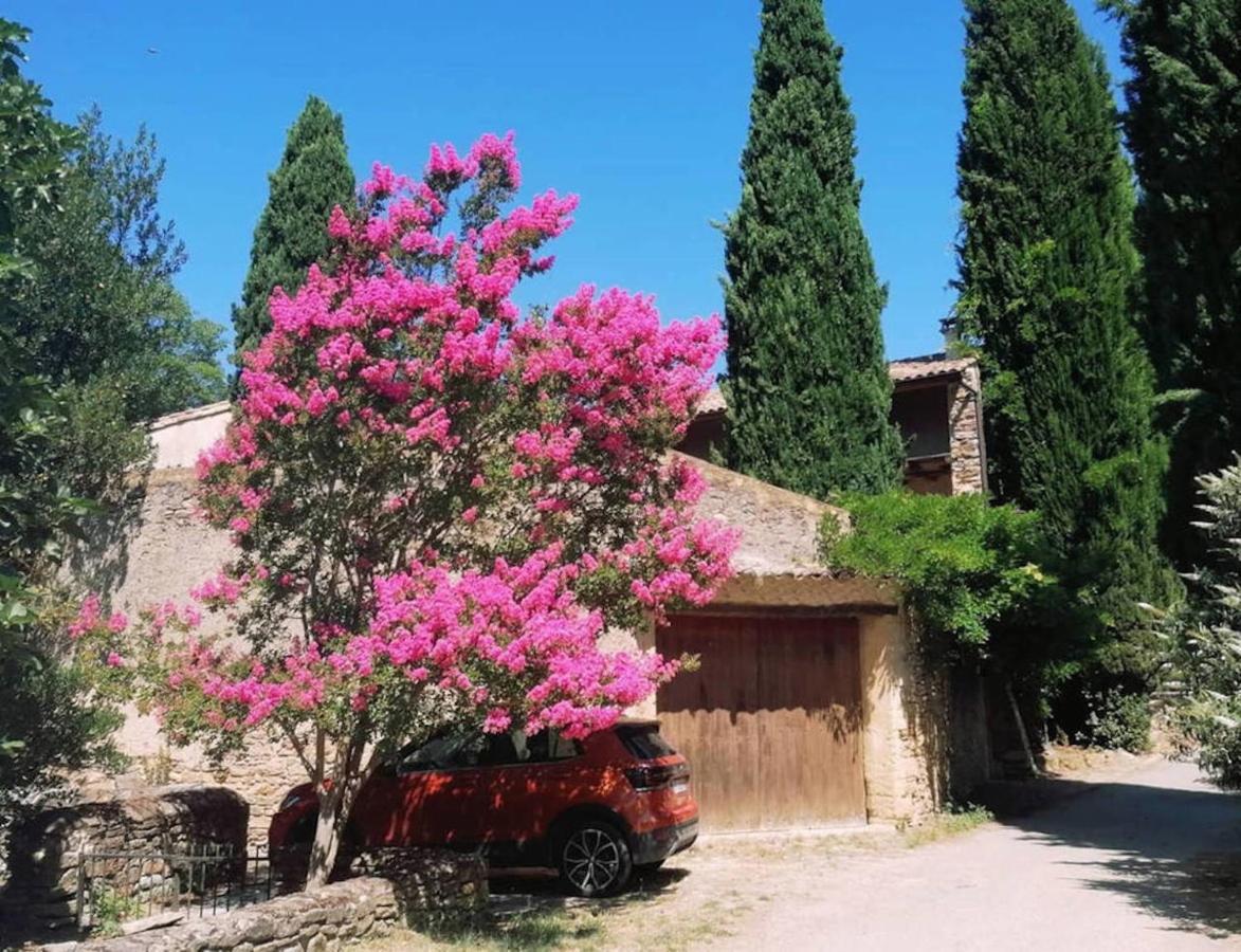 Maison 1643 Laudun Dış mekan fotoğraf